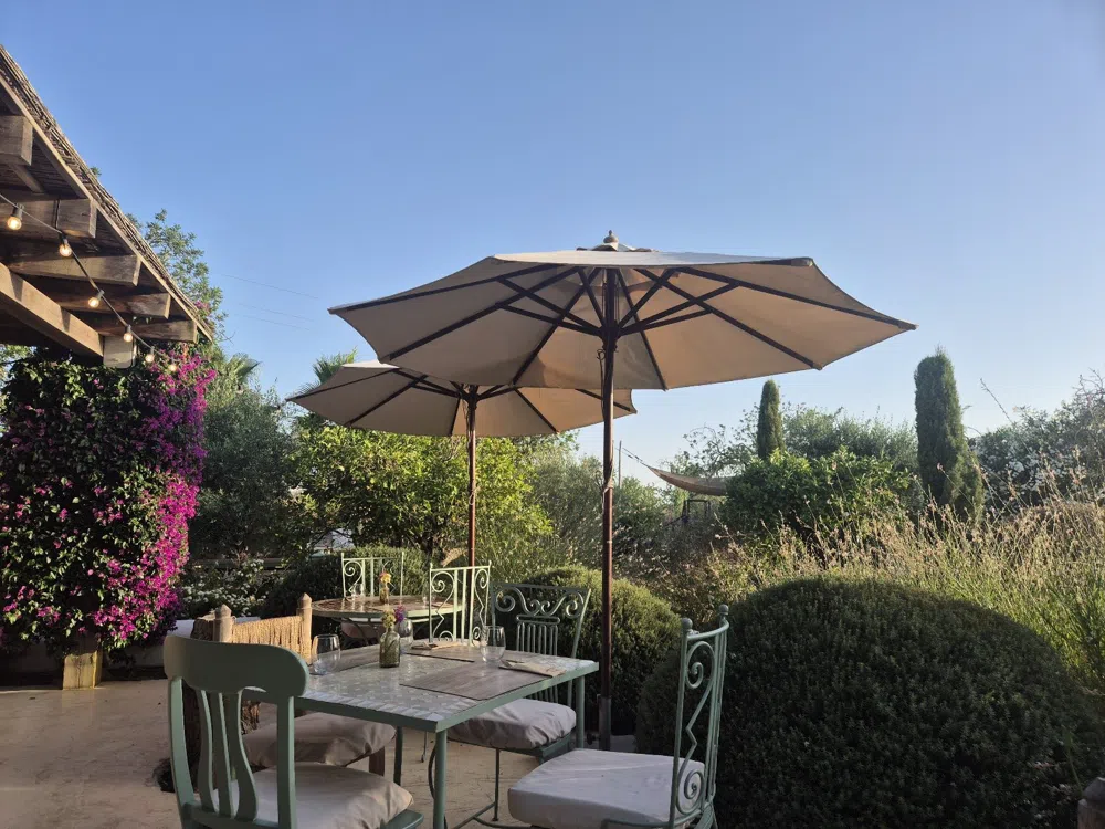 From Farm to Fork, Ibiza Style: The Island's Quiet Agroturismo Table