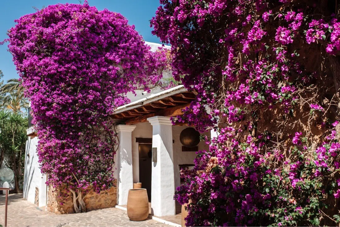 Atzaró Agroturismo Hotel, Ibiza
