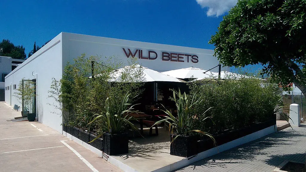 Wild Beets, Ibiza