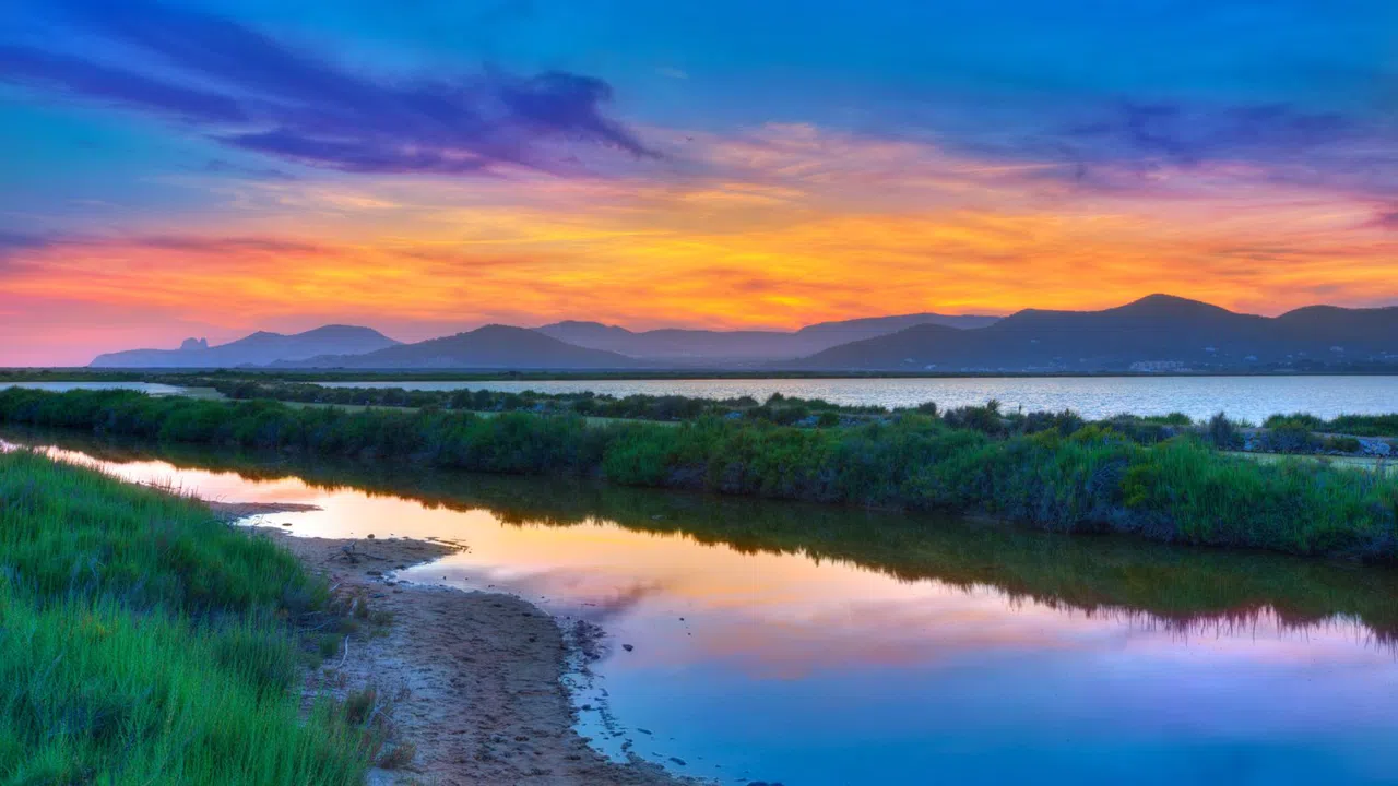 Salt of the Earth: Ibiza's Salinas and the White Gold That Built the Island