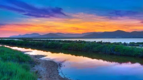 Salt of the Earth: Ibiza's Salinas and the White Gold That Built the Island