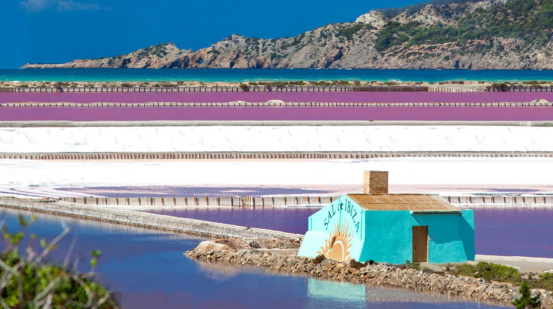 SAL de IBIZA — The Store, Ibiza