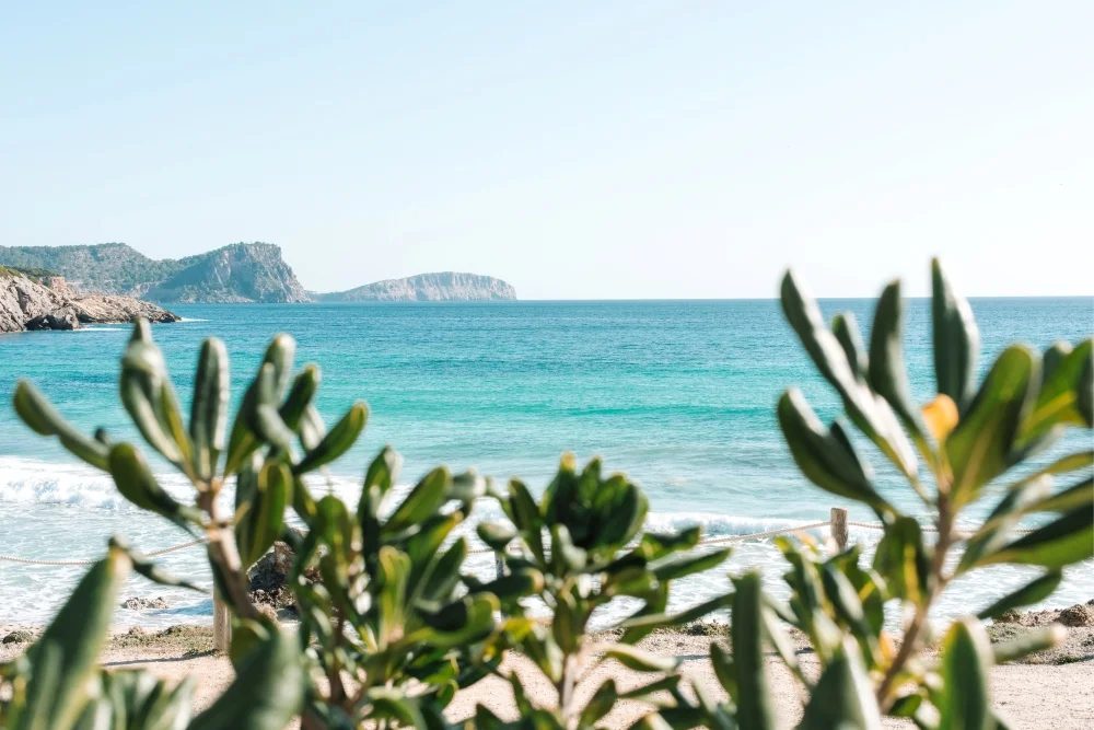 Atzaró Beach, Ibiza