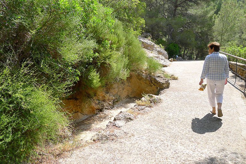 Cova des Culleram, Ibiza