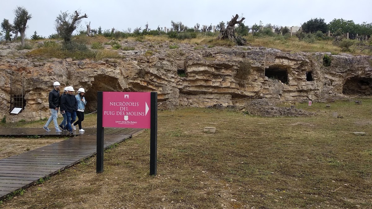Necròpolis de Puig des Molins — photo 2
