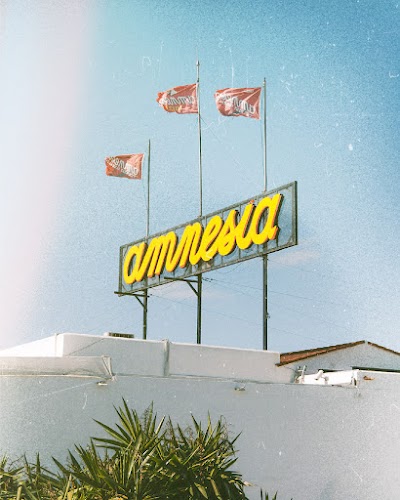 Amnesia