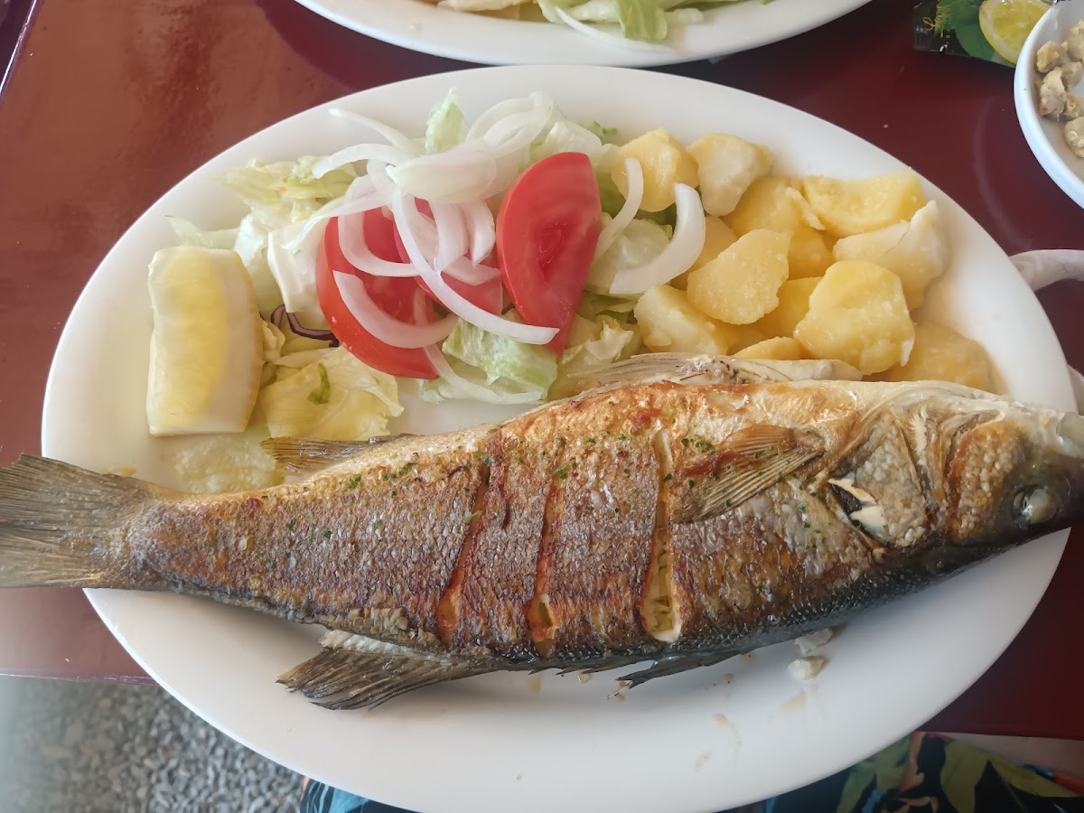 Fish Shack, Ibiza