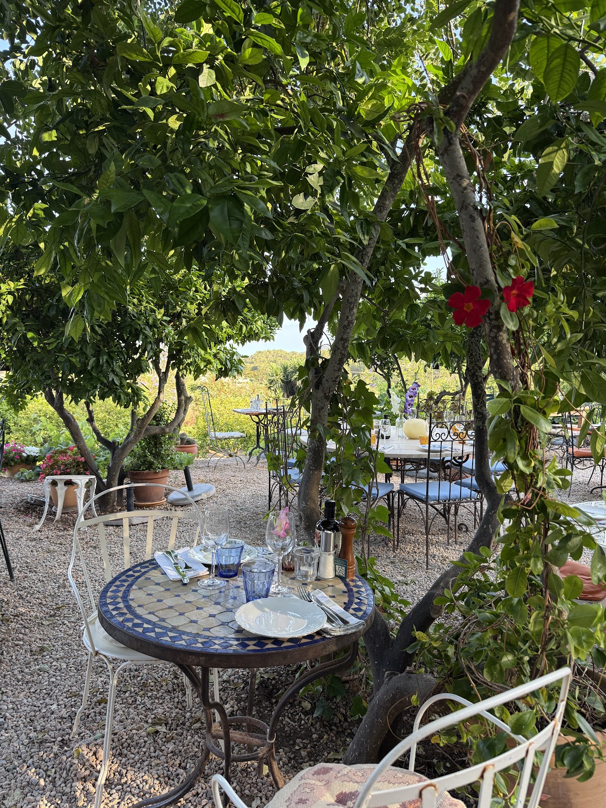 La Paloma — photo 2