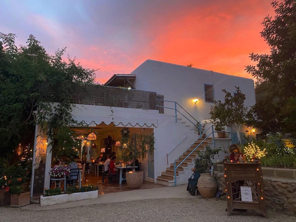 La Paloma — photo 4