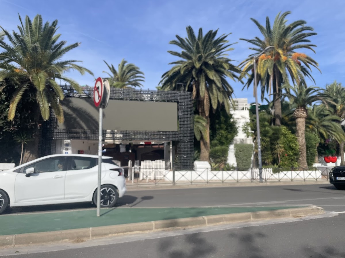 Pacha — photo 2