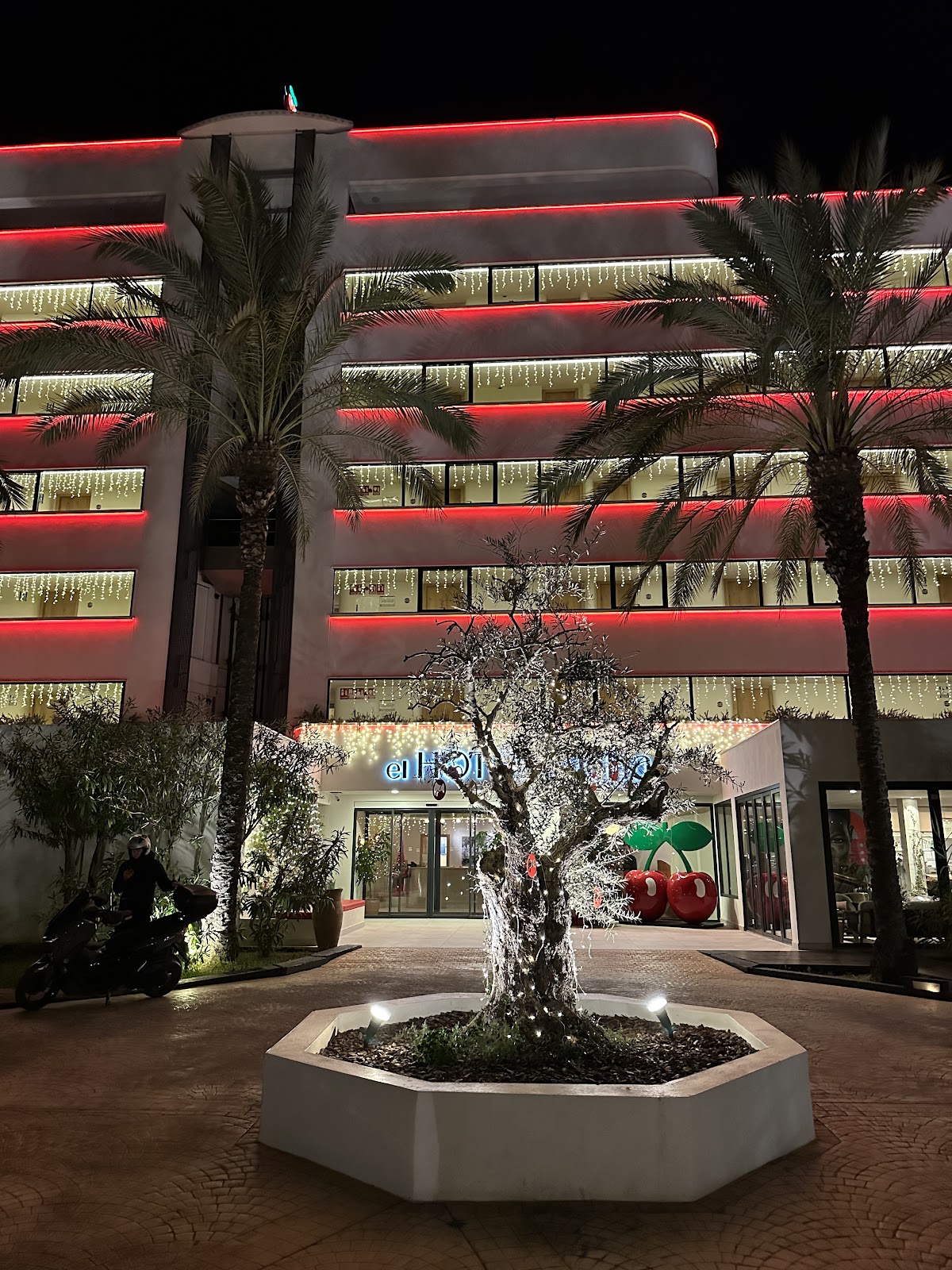 Pacha — photo 4