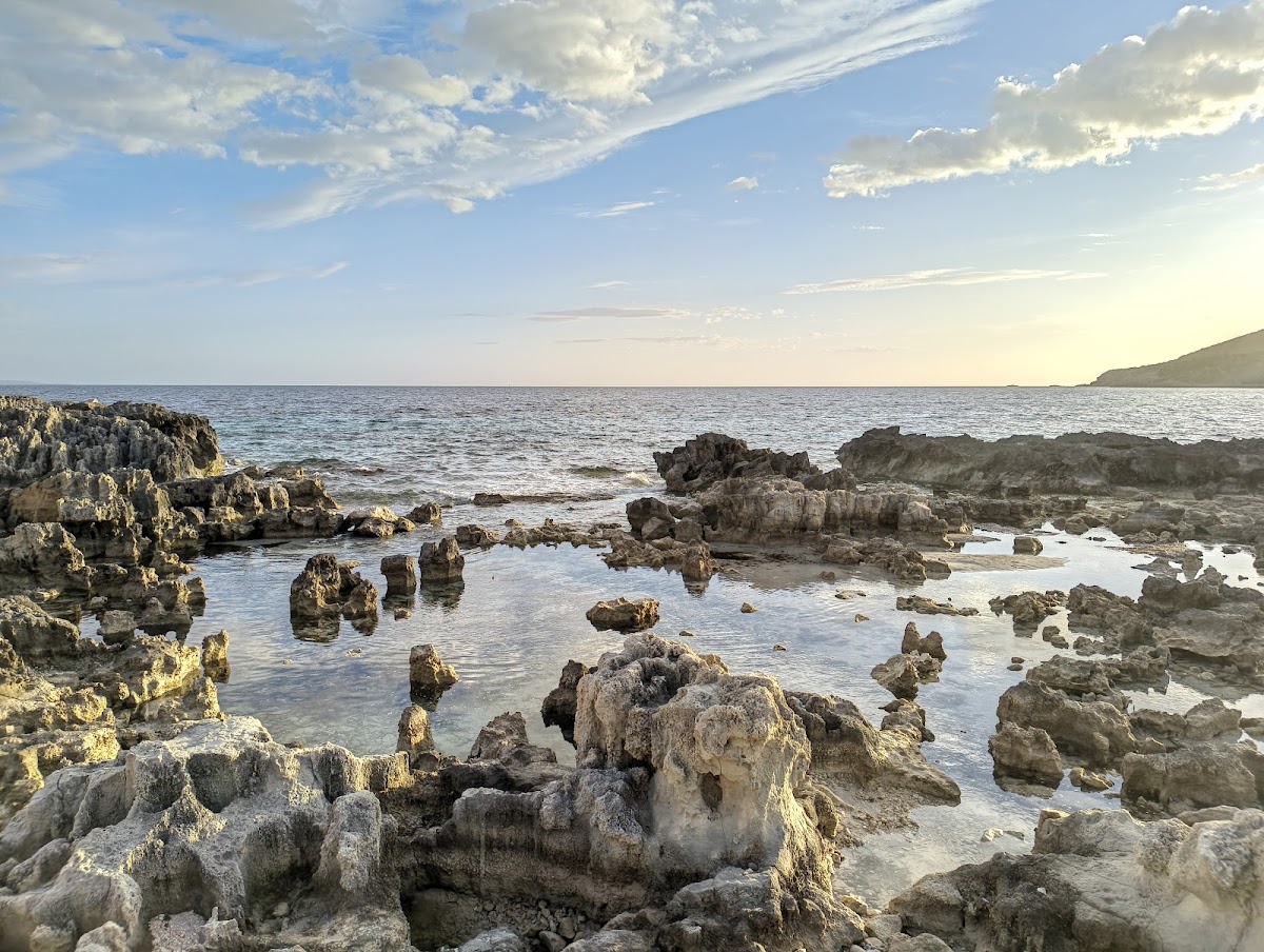 Ses Salines Salt Flats — photo 2