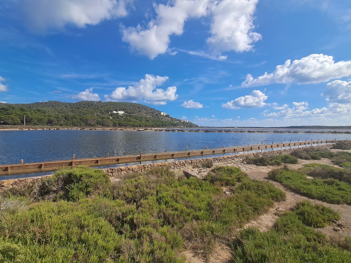 Ses Salines Salt Flats — photo 3