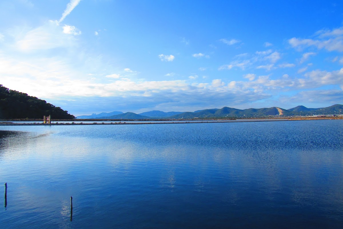 Ses Salines Salt Flats — photo 5