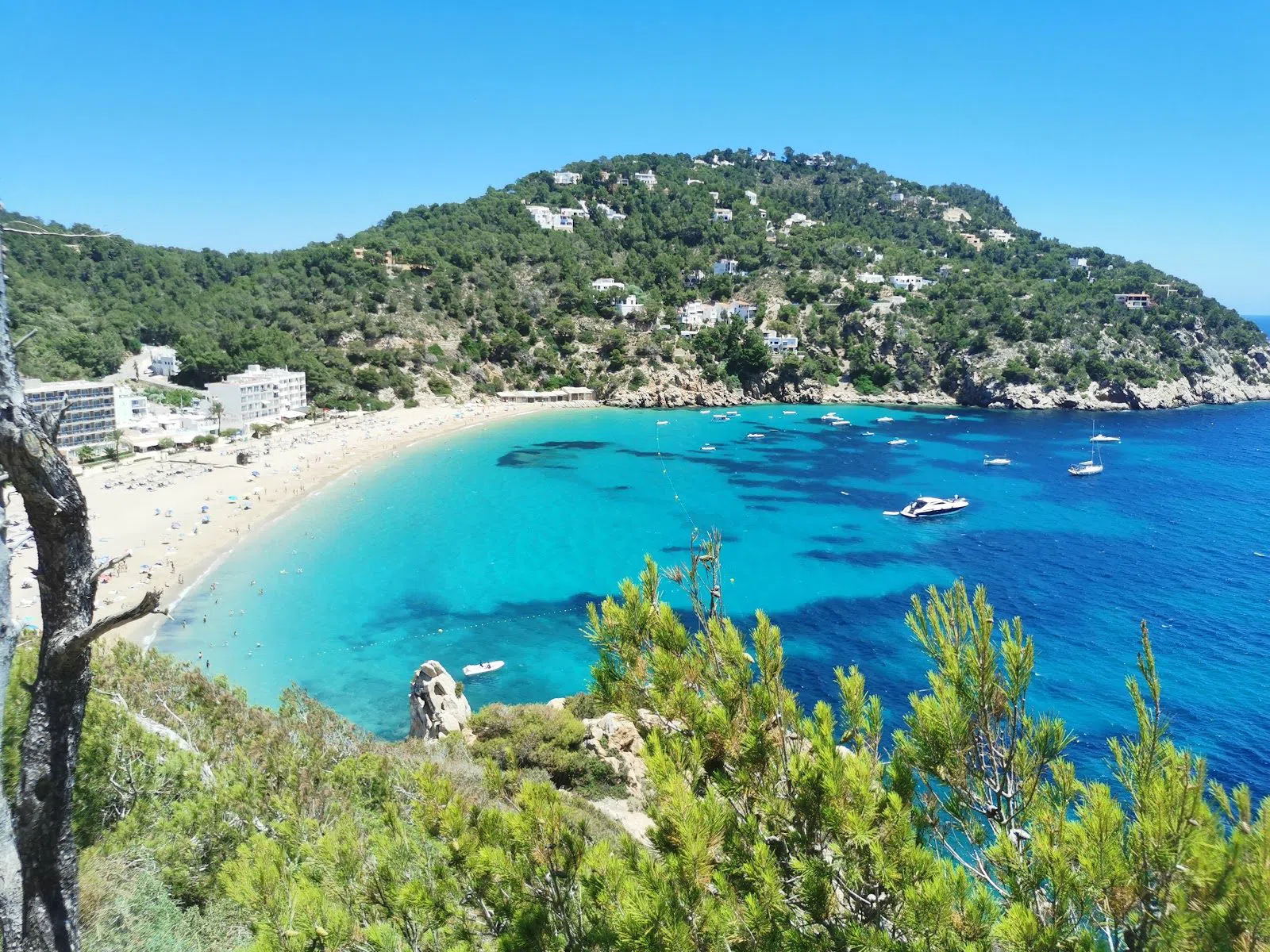 What to see and eat in Cala Sant Vicent, Ibiza