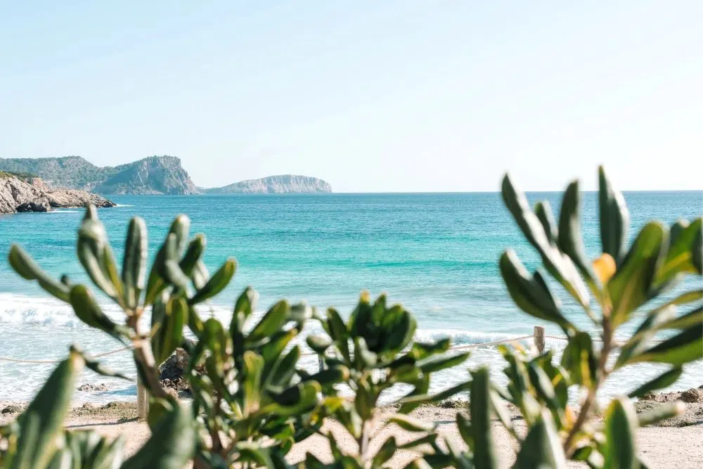 Atzaró Beach, Ibiza
